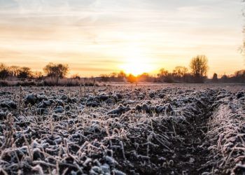 Net rafraîchissement en fin de semaine en lien avec une descente d’air polaire sur la France