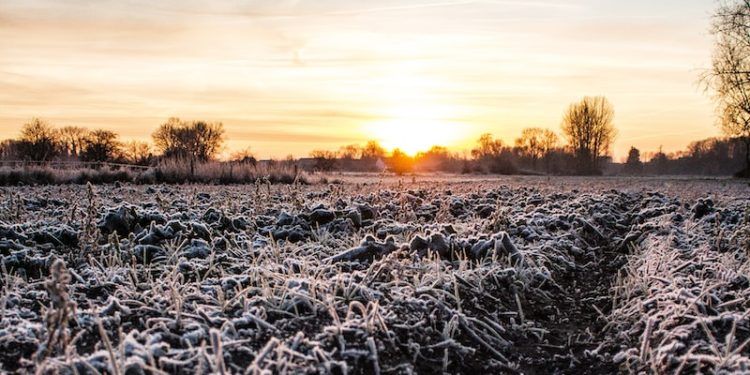 Net rafraîchissement en fin de semaine en lien avec une descente d’air polaire sur la France