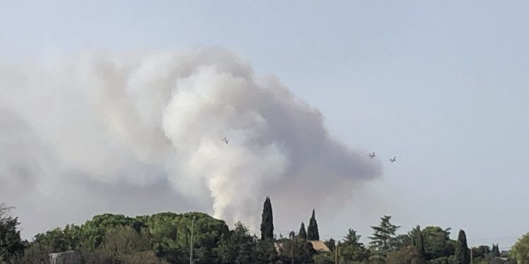 Aigues-Vives : plus de 200 pompiers interviennent sur un incendie