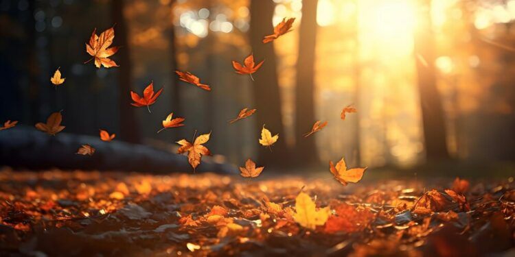 Gard : le bulletin météo pour ce mercredi 20 décembre 2023