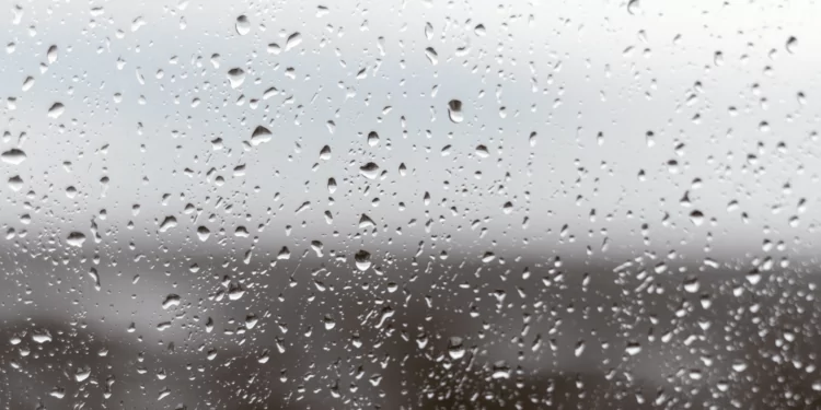Aude / Pyrénées-Orientales : le bulletin météo pour ce Vendredi 16 Février 2024