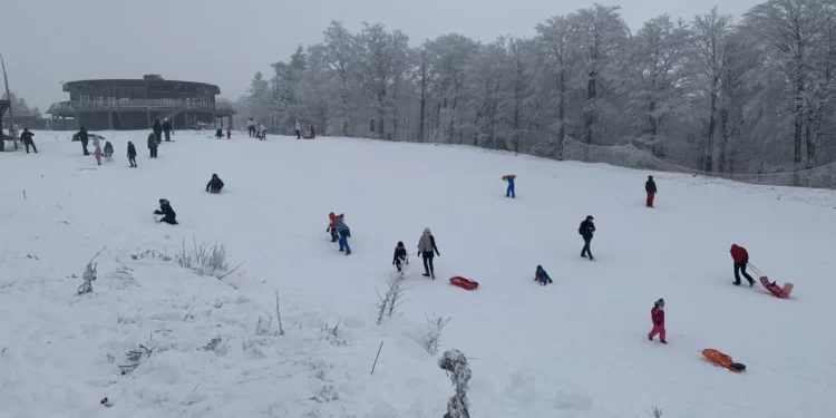 Gard : le bulletin météo pour ce vendredi 23 février 2024